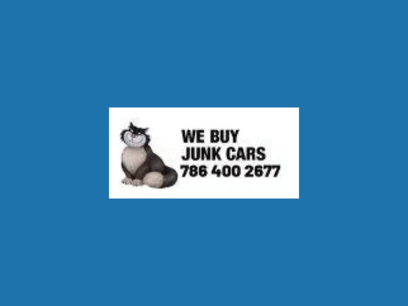 Junk Car Cat Miami